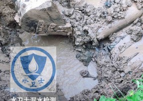 桐柏水管漏水检测公司5